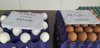 白卵(ビック）赤卵